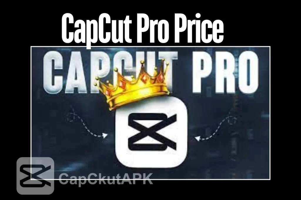 CapCut Pro Price in 2024